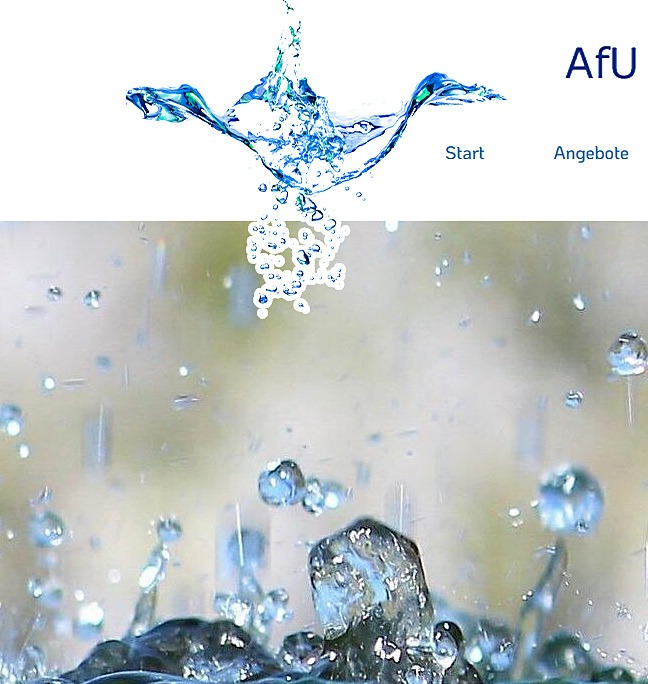 Teil vom Screenshot der Webseite AfU Mittweida (Wasserproben)